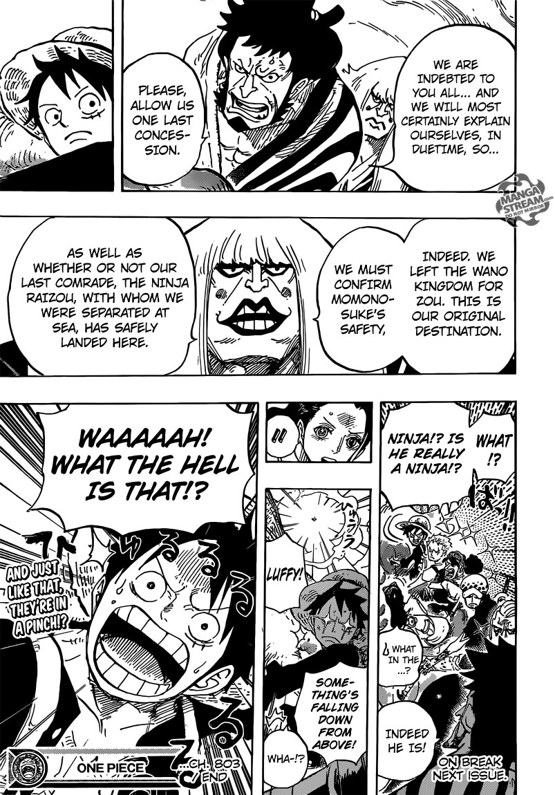 One Piece Chapter 803 13